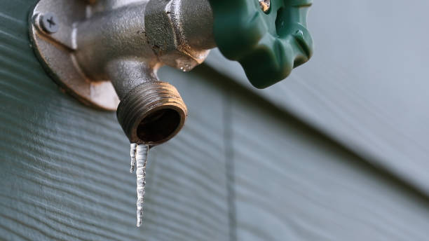 Best Plumbing Installation Services  in Aust, IN