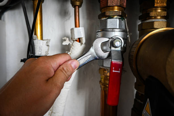 Best Clogged Drain Plumber  in Aust, IN